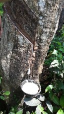 Ausblick aus unserer Hütte