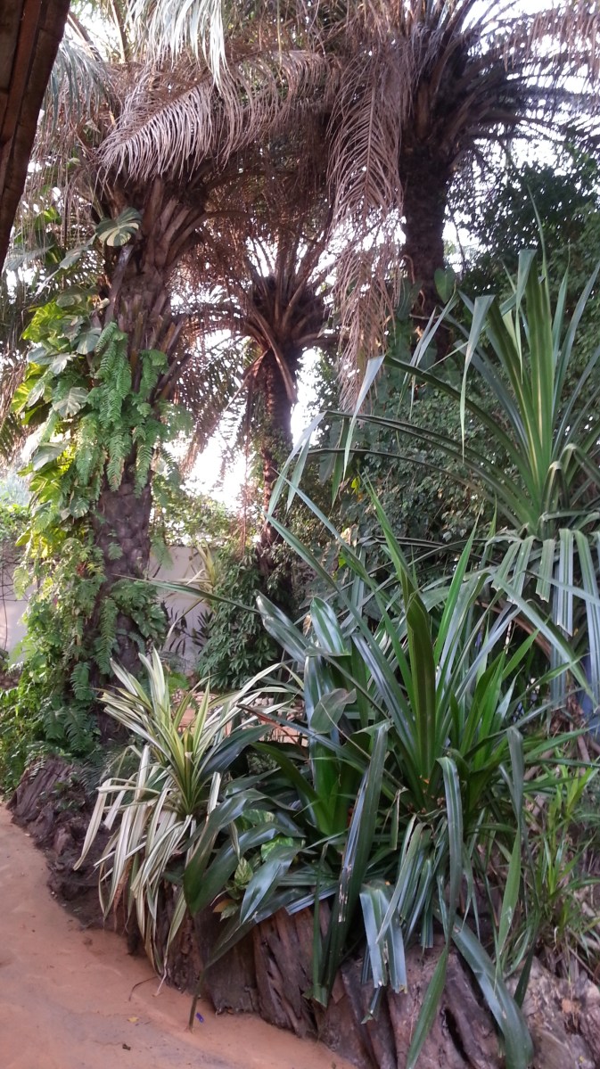 IMG-20141209-WA0002 (1)