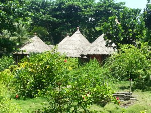 20140330_105732_resized (1)