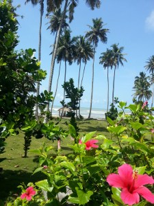 20140330_105850_resized