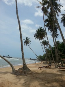 20140331_120529_resized (1)