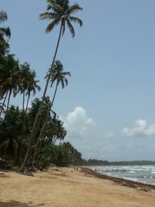 20150406_122911_resized